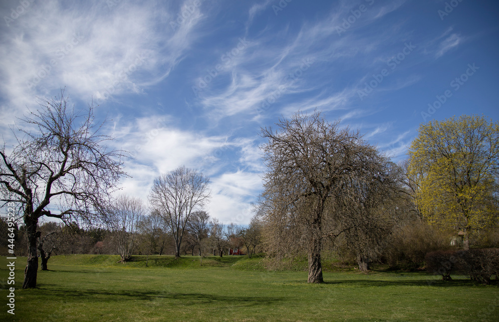 Blue cloudy sky over green field on warm spring day Blue cloudy sky over green field on warm spring day