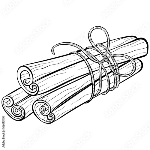 Cinnamon sticks tied with rope. Hand drawn vector illustration in sketch style isolated on white. Cooking and aromatherapy ingredient. Design element for emblem, sign, poster, menu