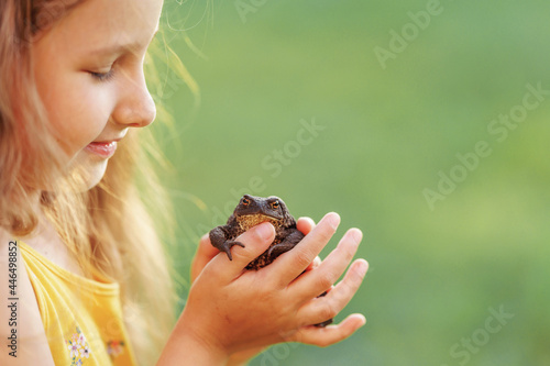 little curious girl 5 years old, holding large earth toad, frog on her hand, while in fresh air. The child looks at the amphibious animal with curiosity and interest. The baby wants to kiss the frog.