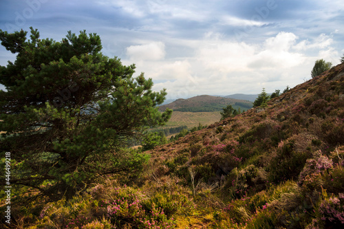 Scottish rural landscape and hiking trail in Cairngorms, Aberdeenshire, Scotland, UK © iweta0077