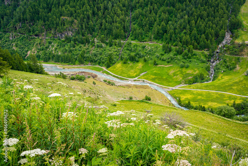 Idyllic summer morning view in the beautiful Valgrisenche, Aosta Valley, northern Italy. photo