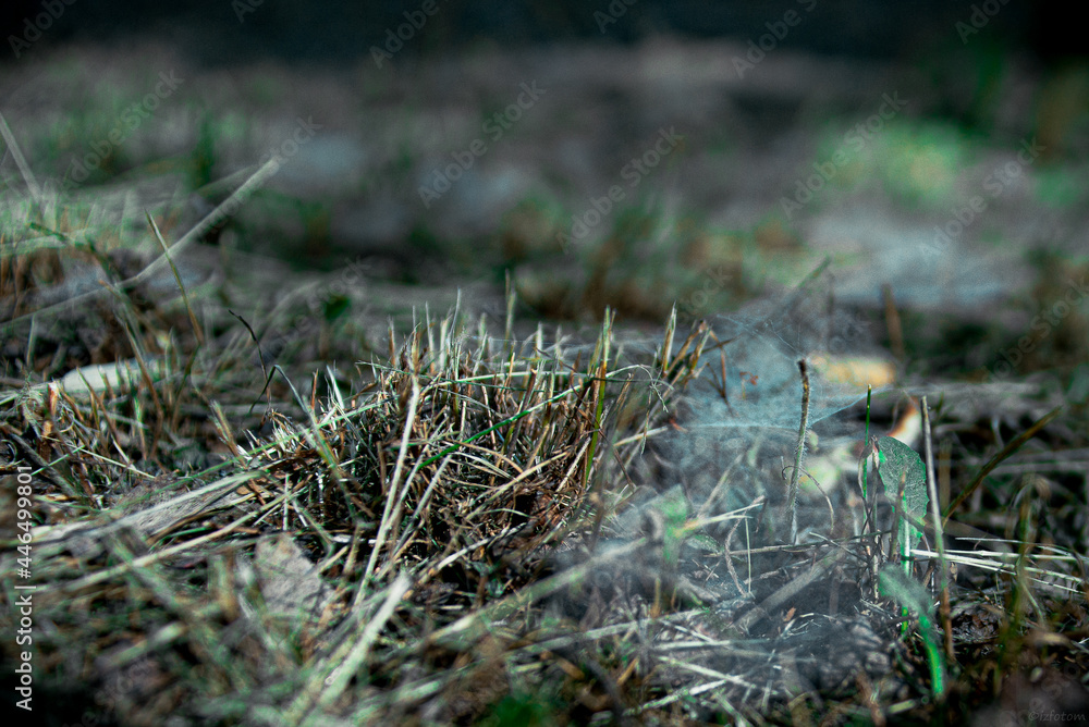 Beveling grass and web