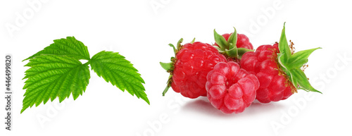 Raspberries, raspberry hill, raspberry leaf, isolated on a white background