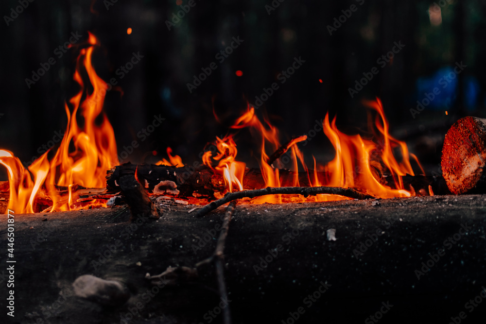 Bonfire in the forest Bonfire in the forest