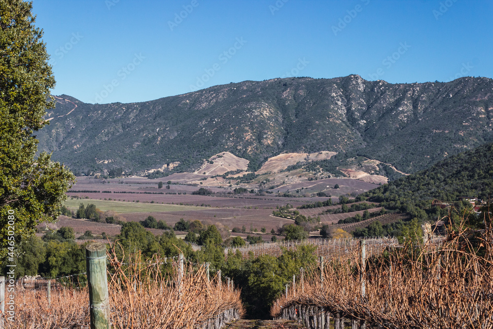 Winter view of one of the best producers of chilean wine. Vineyards and landscape. Colchagua, Santa Cruz, Chile, South America
