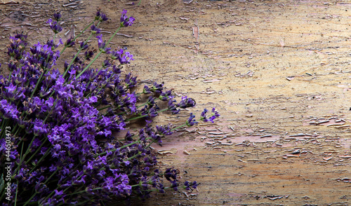 Lavender flower on grunge wooden table. Summer flower background.