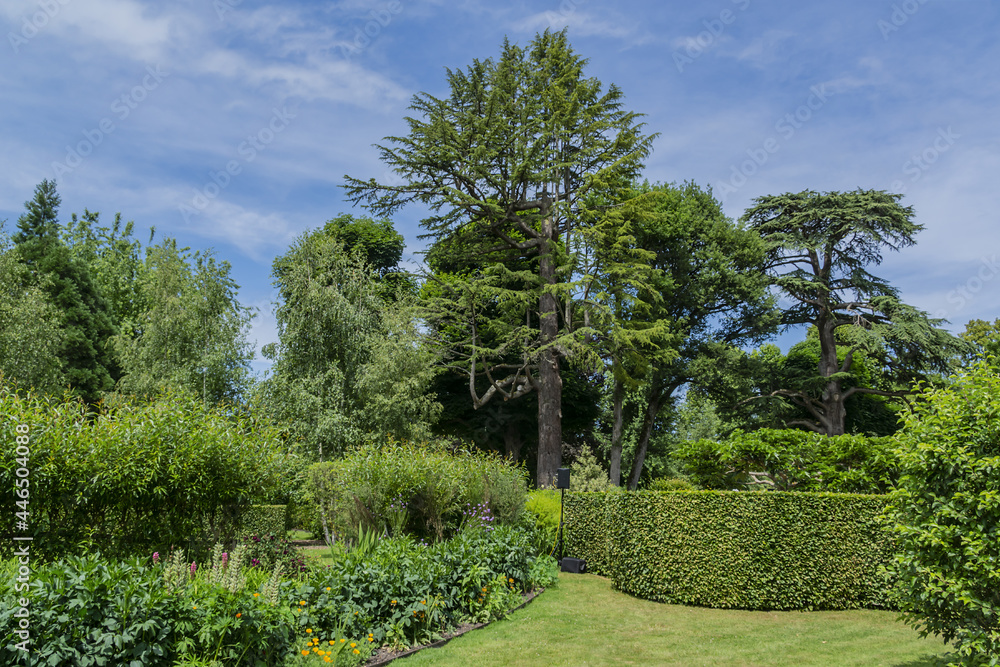Beautiful garden near Cheverny Castle (Chateau Cheverny, sixteenth century). Cheverny, Loire Valley, France.