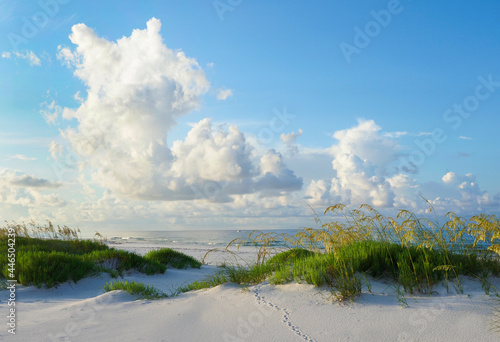 Early Morning on a Beautiful Pristine Florida White Sand Beach of the Gulf Coast photo