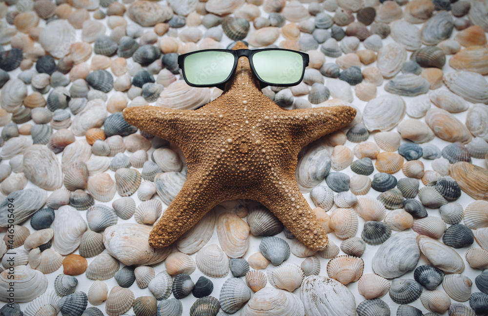A funny brown starfish in sunglasses lies on seashells and looks up on sky. Summer vacation, travel and tourism concept. A funny brown starfish in sunglasses lies on seashells and looks up on sky. Summer vacation, travel and tourism concept.