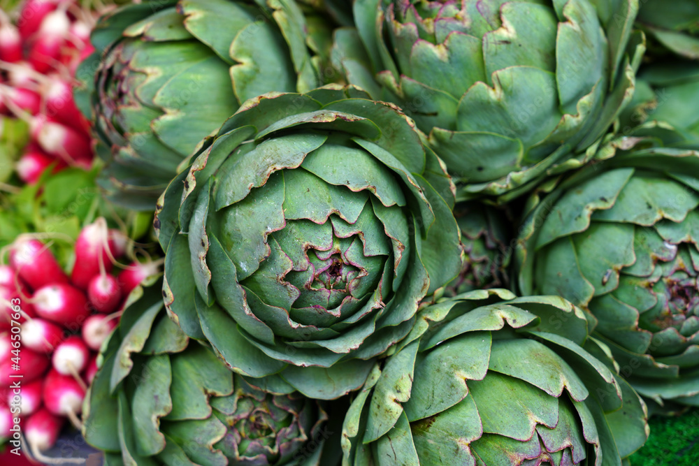 Fototapeta premium Green and purple artichokes at a French farmers market
