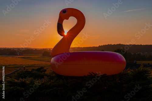 Inflatable pink bath toy shaped like a flamingo at sunset photo