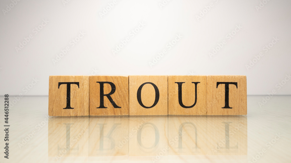 The name Trout was created from wooden letter cubes. Seafood and food.