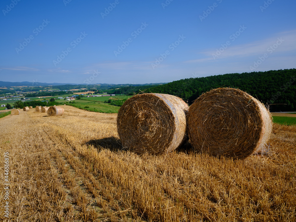 麦稈ロールのある風景