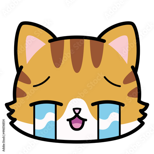 Isolated cute crying cat emoji Vector illustration