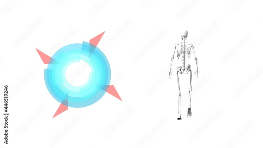 Digital animation of round scope scanner and human skeleton walking against white background Digital animation of round scope scanner and human skeleton walking against white background
