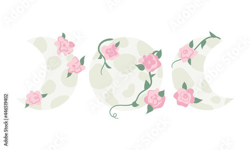 Hand drawn vector illustration with moon phases and pink roses. Full moon and flowers.