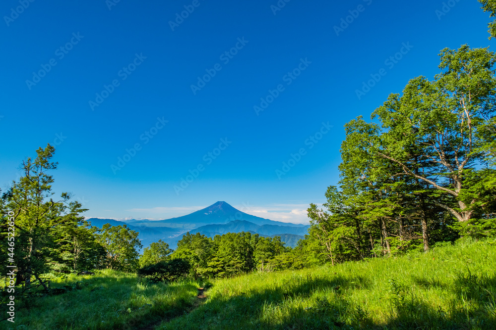 初夏の富士