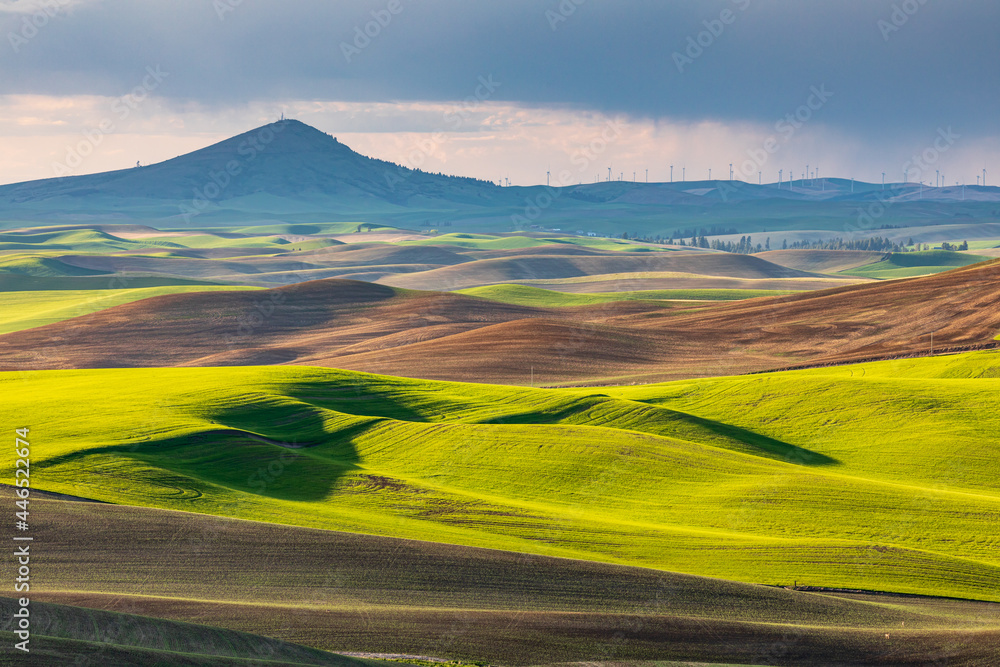 Steptoe Butte over rolling wheat fields in the Palouse hills.