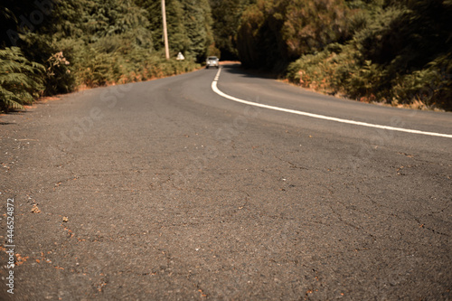 Asphalt road in the forest, car passing, vehicle in blurry background