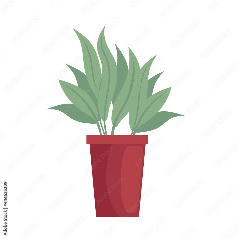 pot with plant pot with plant