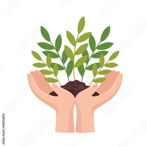 hands lifting plants