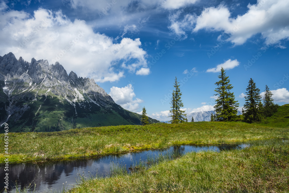 Mountain pond with Wilder Kaiser range reflecting in water, Tirol - Austria