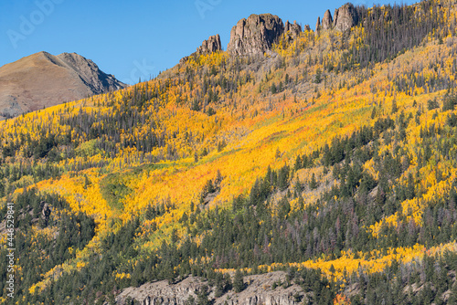 Fall Aspens in the Sun Juan Mountains of Colorado