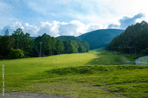 初夏の入笠山の登山道 Nyukasa mountain trail in early summer 