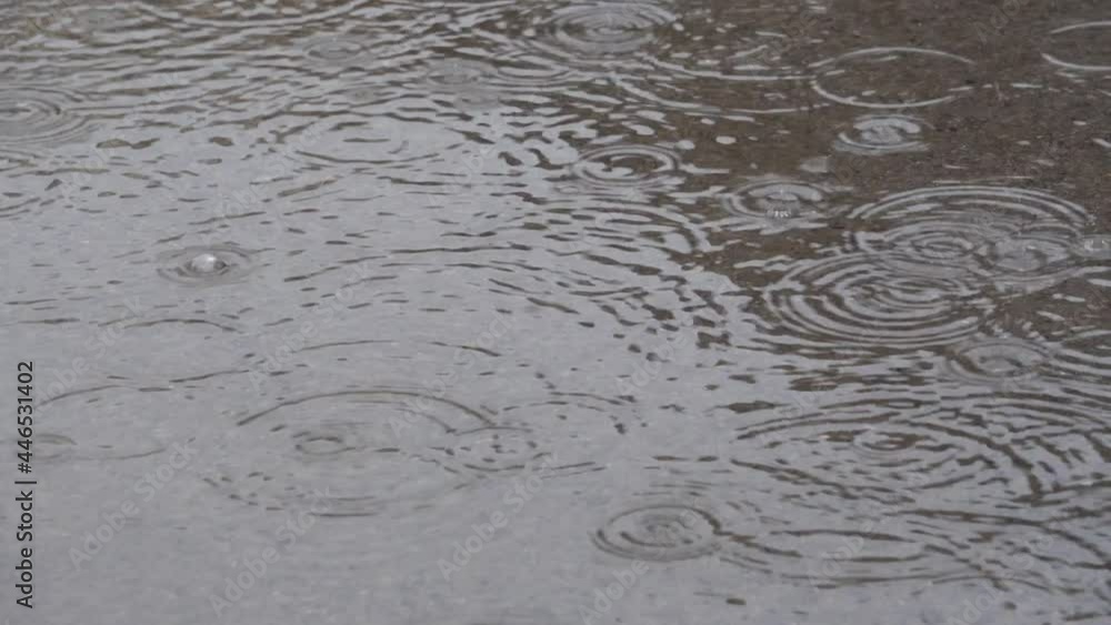 Rainy days, the ground water, rain drops ripples Rainy days, the ground water, rain drops ripples