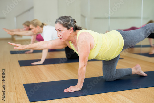 Three aged women are doing extended cat pose