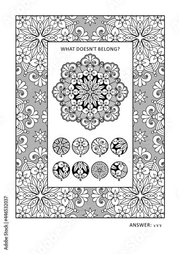 Puzzle and coloring activity page for grown-ups with visual logic puzzle and wide decorative frame to color. Family friendly. Answer included. 