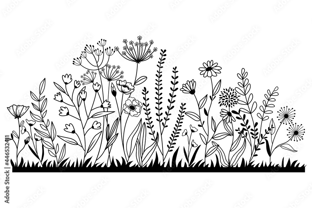 Hand drawn wildflower meadow Style vector illustration, Flower and leaf herbs isolated on white Background, Invitation, Wedding card, Greeting card, Posster. - obrazy, fototapety, plakaty 