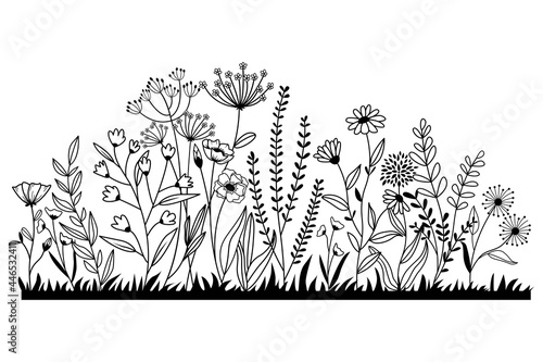 Hand drawn wildflower meadow Style vector illustration, Flower and leaf herbs isolated on white Background, Invitation, Wedding card, Greeting card, Posster.