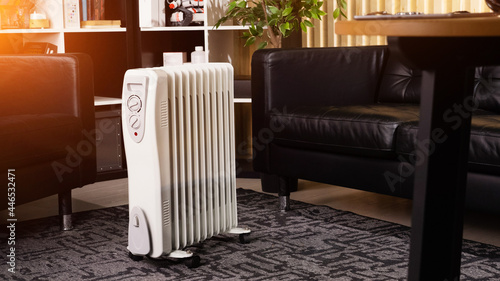 Oil-filled electrical mobile radiator heater for home photo