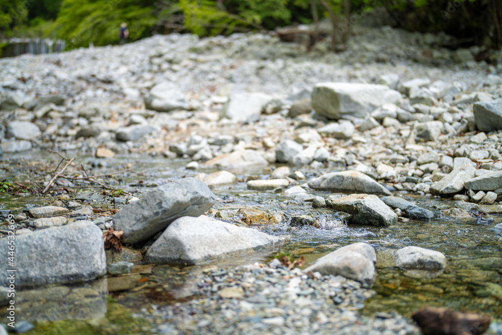 Fototapeta premium 檜洞丸の初夏の登山道の風景 Scenery of the Hinodomaru trail in early summer