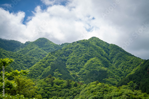                                         Scenery of the Hinodomaru trail in early summer