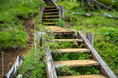                                         Scenery of the Hinodomaru trail in early summer