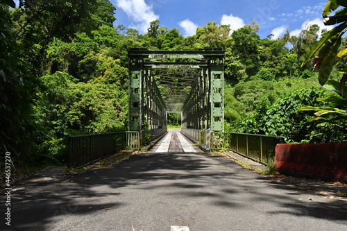  Pont 