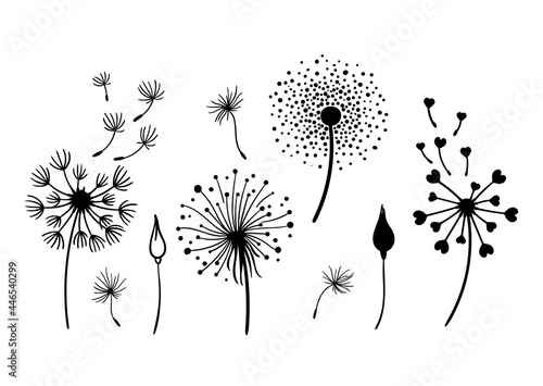 Dandelion black and white clipart bundle, elegant summer wild flowers set, botanical floral isolated elements, meadow flowers vector illustration