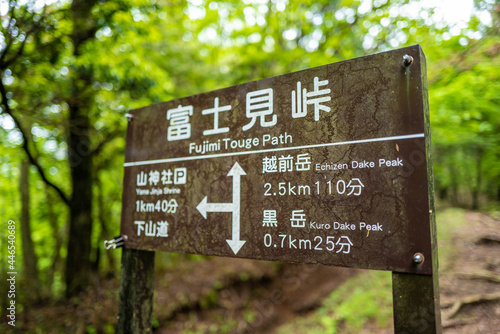 愛鷹山黒岳の初夏の登山道の風景 View of the trail in early summer at Mount Ashitaka Kurodake © Hello UG