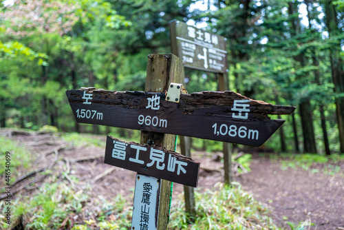 愛鷹山黒岳の初夏の登山道の風景 View of the trail in early summer at Mount Ashitaka Kurodake