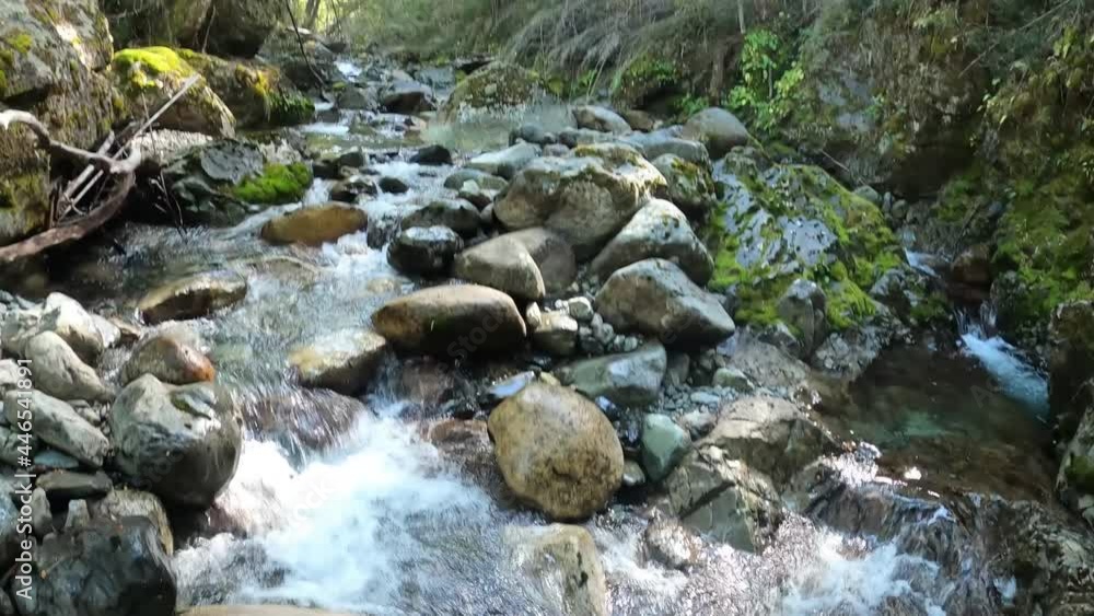 Getting fresh natural water from a small stone stream. Let us preserve our most precious asset, nature. Getting fresh natural water from a small stone stream. Let us preserve our most precious asset, nature.