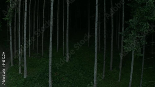 Drone Ascend In Abundant Forest With Towering Coniferous Trees Near Frumoasa Dam In Romania. - aerial photo