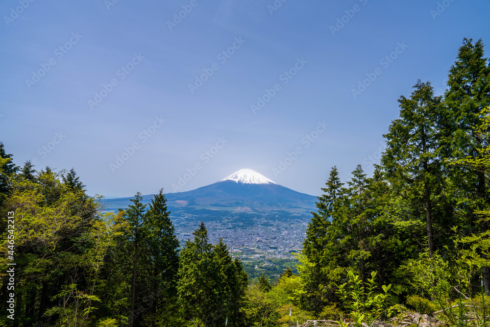 金時山の初夏の登山道の風景 A view of the trail in early summer at Mount Kintoki