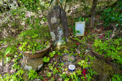 金時山の初夏の登山道の風景 A view of the trail in early summer at Mount Kintoki photo