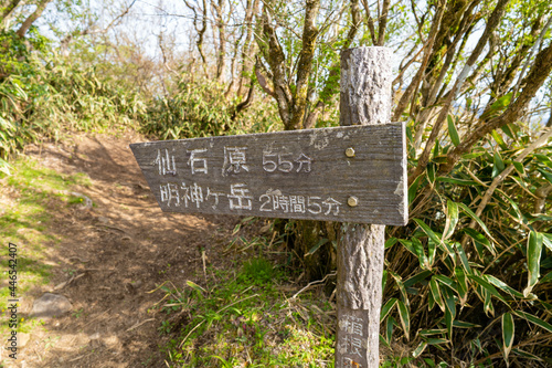 金時山の初夏の登山道の風景 A view of the trail in early summer at Mount Kintoki photo