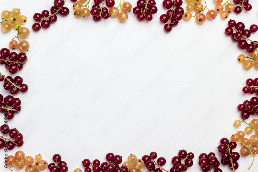 Red and white currants around the edges of white background. Berry background. Flat lay. Red and white currants around the edges of white background. Berry background. Flat lay.