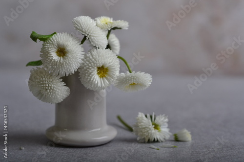 A bouquet of white daisies in a white ceramic pile. © Soyka