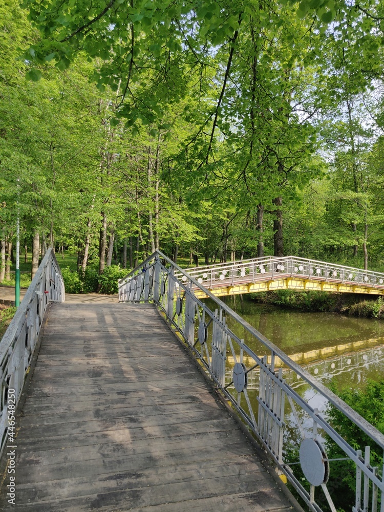 Fototapeta premium bridge in the forest and lake with reflection