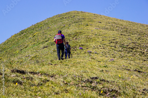 Two hikers climbing up the 
grassy hill together on summer during  sunny clear day, rear view. Hiking, traveling with backpack, vacations, summer holidays concept. Faces not seen.
